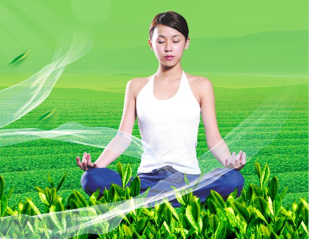高中毕业证查询网站